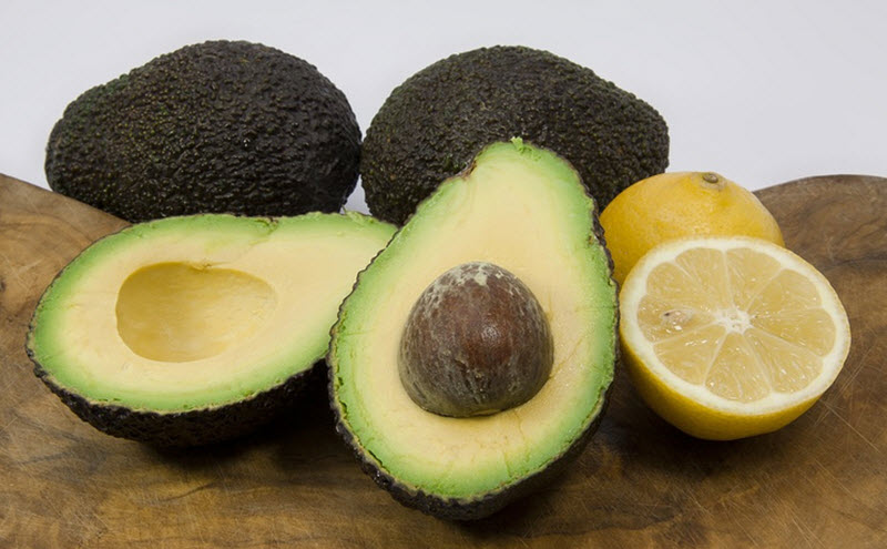 avocado fruit