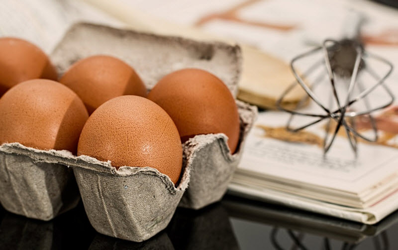 egg