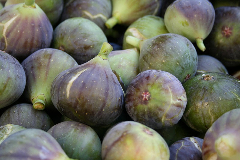 figs